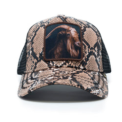 GOLD STAR GOAT SNAKESKIN TRUCKER HAT