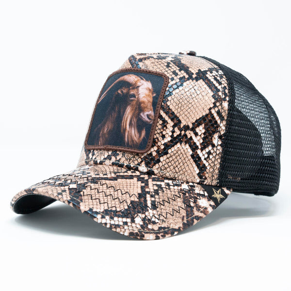 GOLD STAR GOAT SNAKESKIN TRUCKER HAT