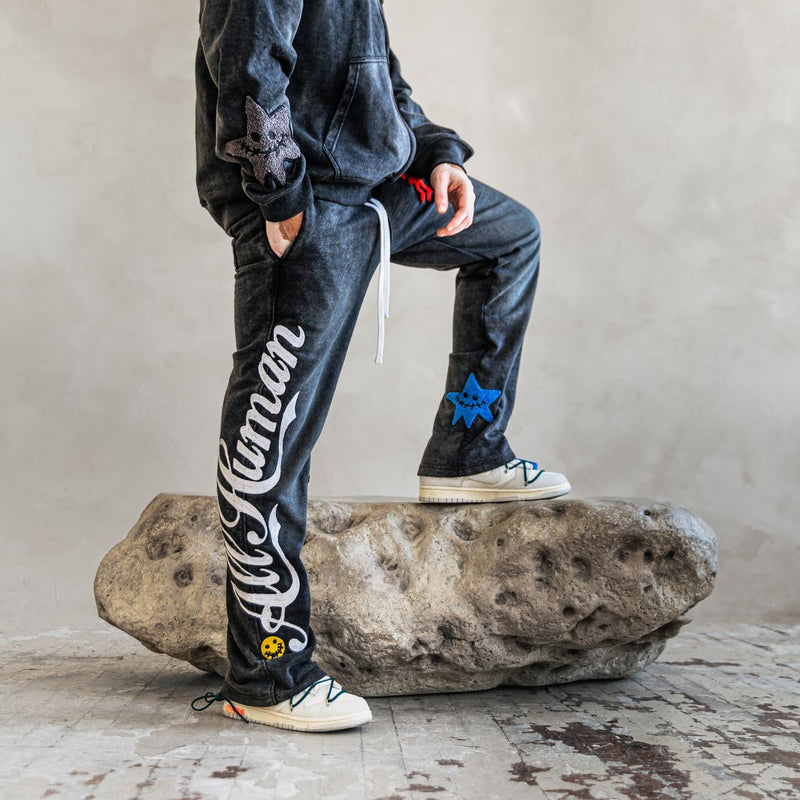 ALL HUMAN BODEGA PANT V2 (Bodega V2 PANT)