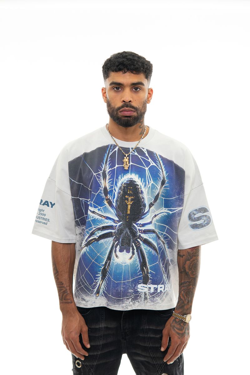 STRAY SPIDER WIDE & CROP LIGHT GREY T-SHIRT