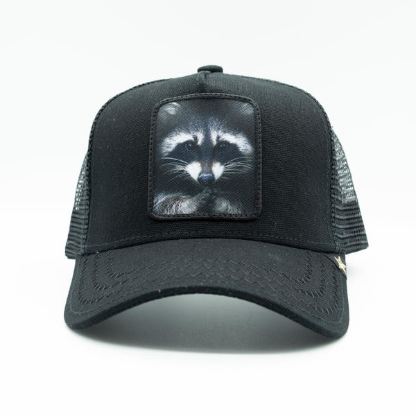 GOLD STAR RACOON TRUCKER HAT