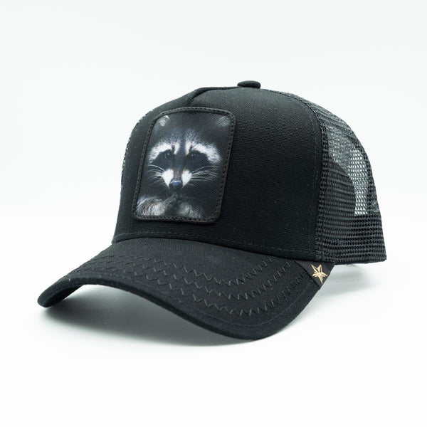 GOLD STAR RACOON TRUCKER HAT