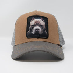 GOLD STAR PIT BULL TRUCKER HAT