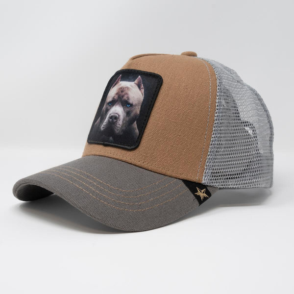 GOLD STAR PIT BULL TRUCKER HAT