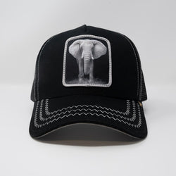 GOLD STAR Elephant Black trucker hat