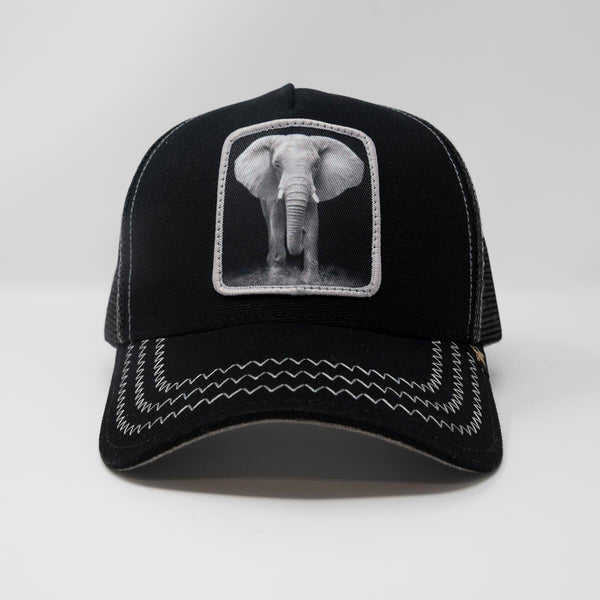 GOLD STAR Elephant Black trucker hat